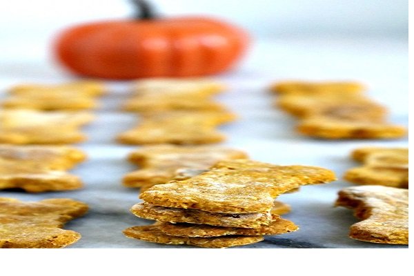 Pumpkin Treats