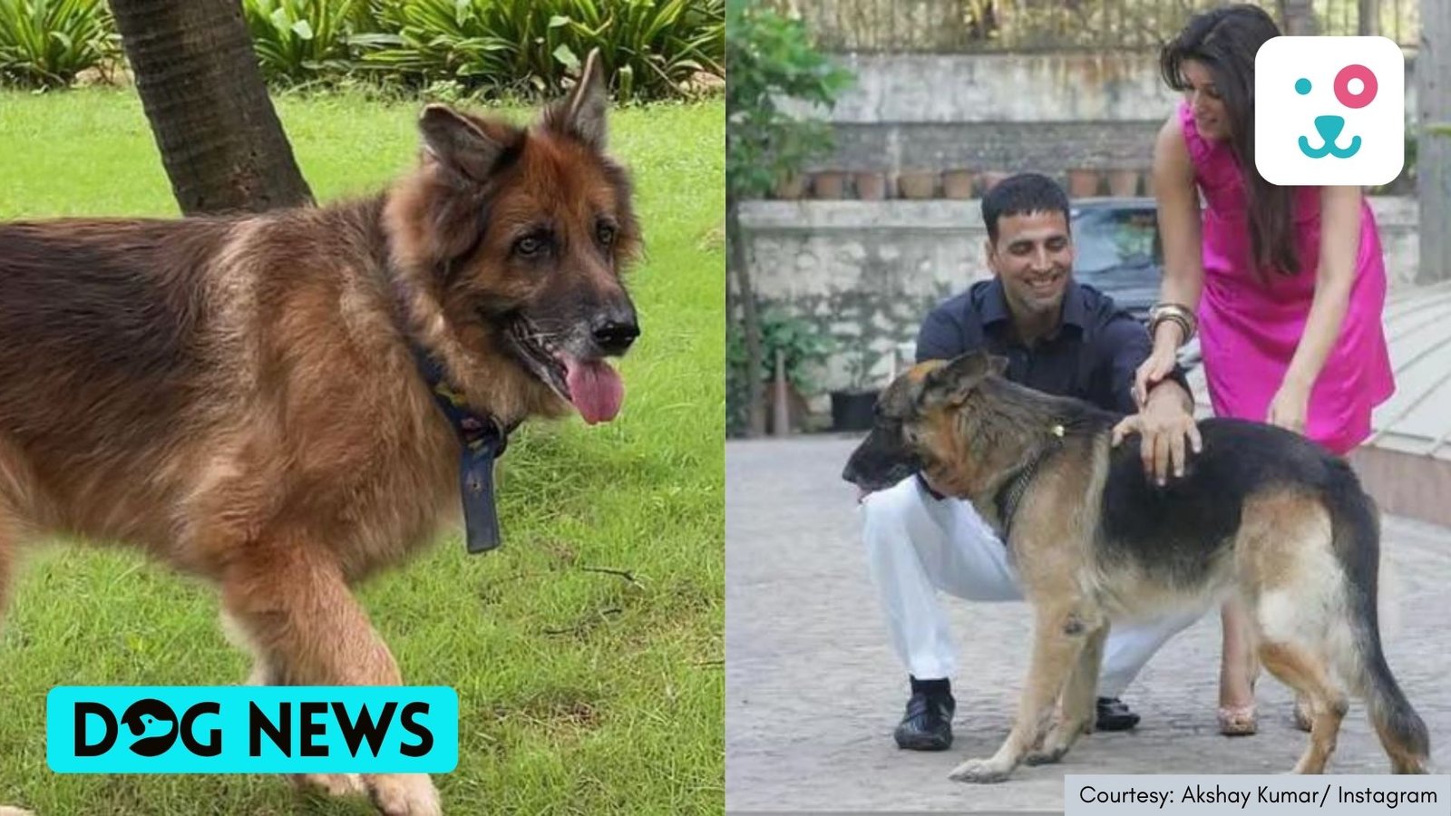 Twinkle Khanna loses pet dog Cleo, says her heart feels 'heavy and empty' at same time