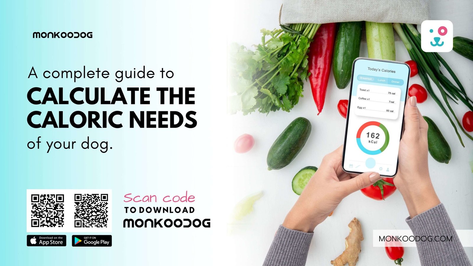 Calculating Caloric Needs of Dogs Monkoodog