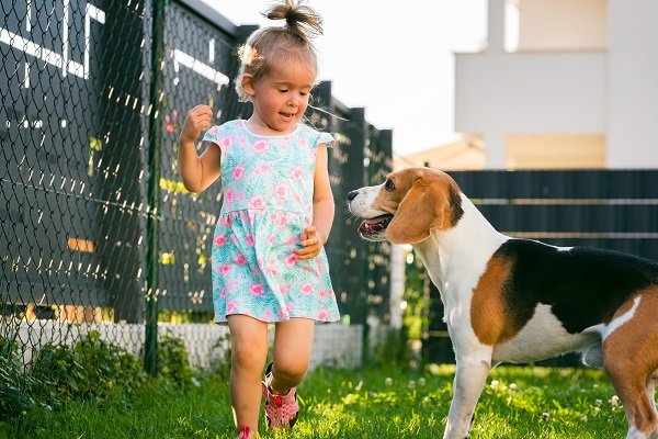 Are Beagles good with kids?