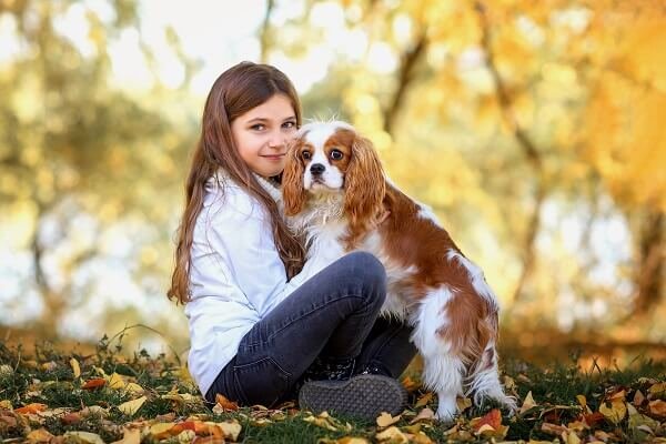 Cavalier King Charles Spaniel Socialization