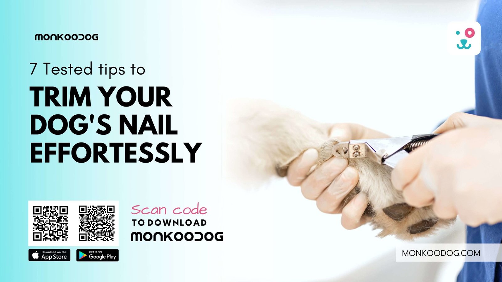 When to trim your dog's nails | God's Creatures