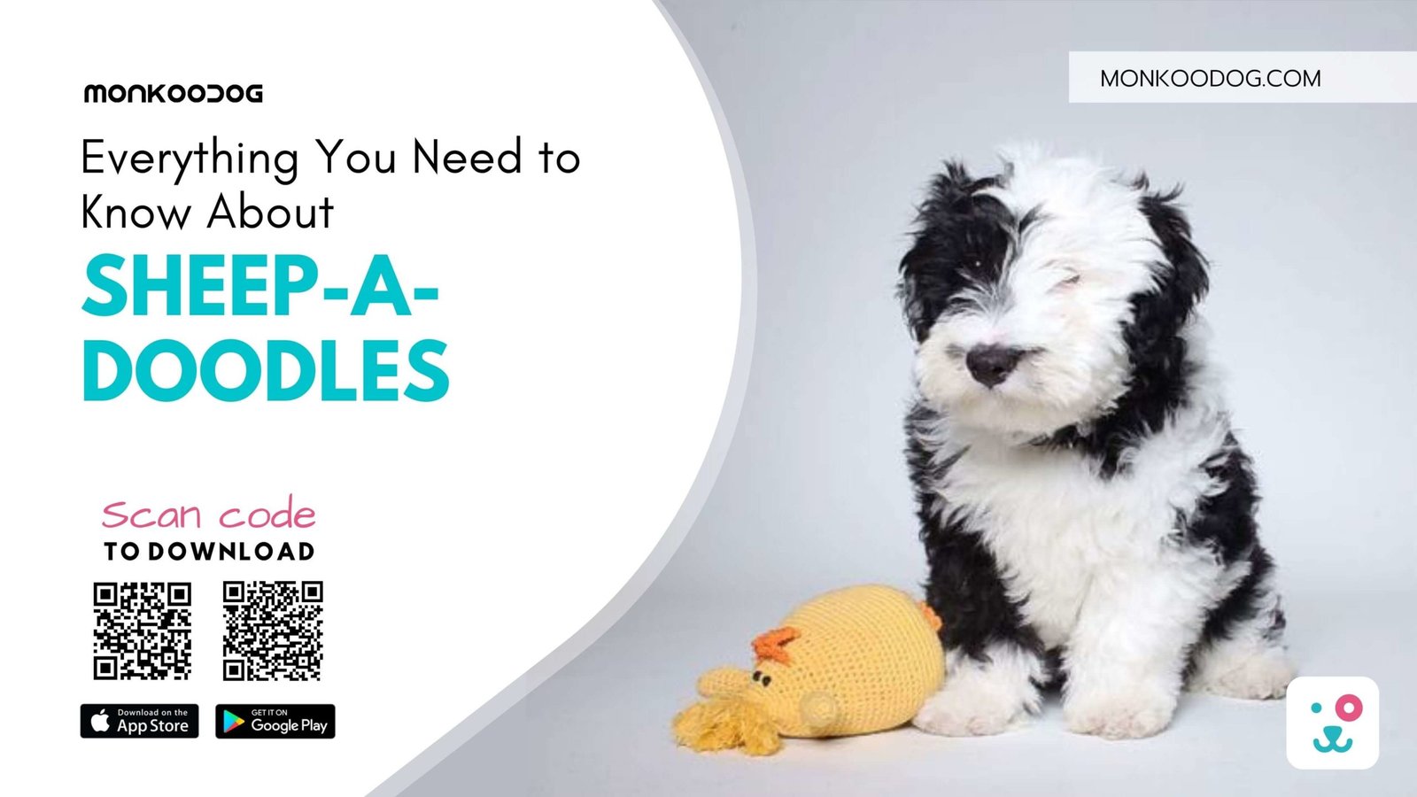 Sheepadoodle Dictionary Definition – Doodle Dog Town