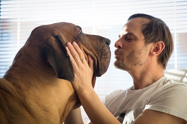 Fila Brasileiro Around Family