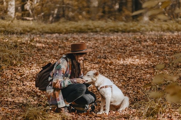 How Can You Make Your Dogs Smarter