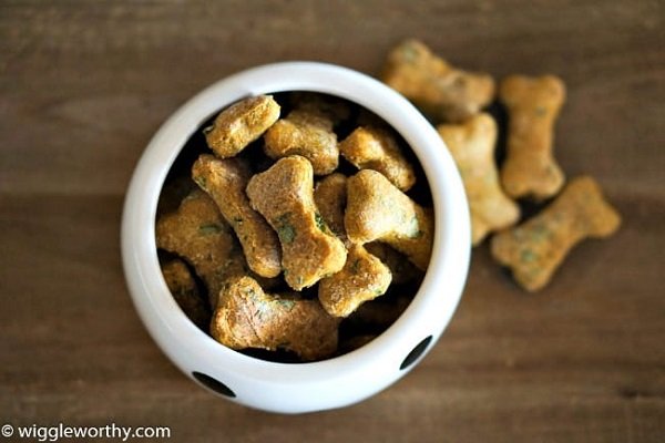 Low-Calorie Pumpkin Spinach Dog Treat