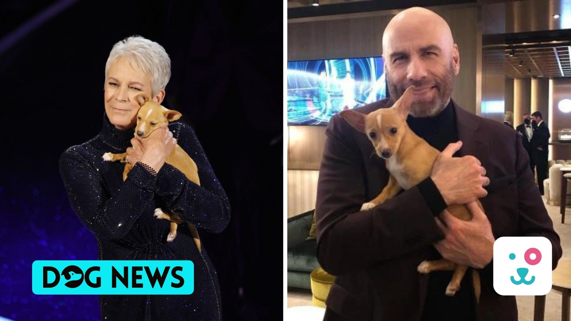 Rescue dog seen in Oscars Betty White tribute gets adopted by John Travolta