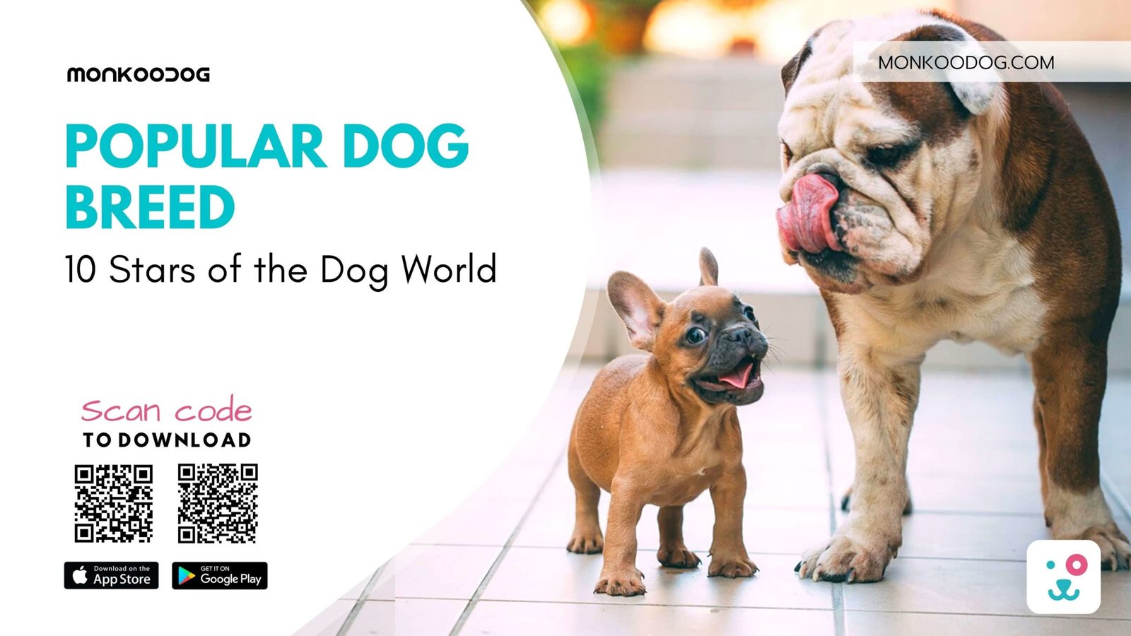 What Is The Number 1 Most Popular Dog