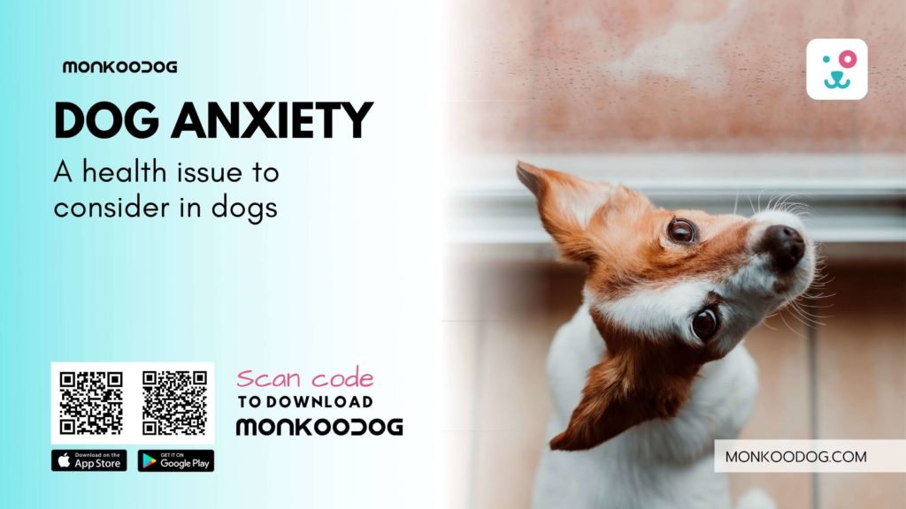 Dog Anxiety- A Health Issue to Consider