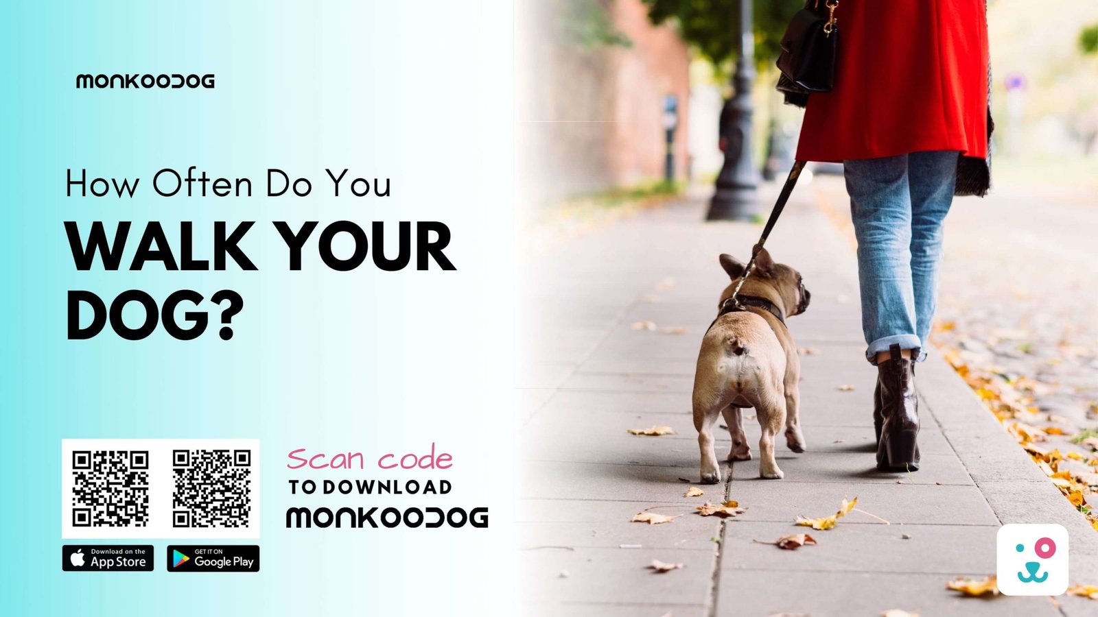 Dog Walking Guide How to Walk Your Dog Monkoodog