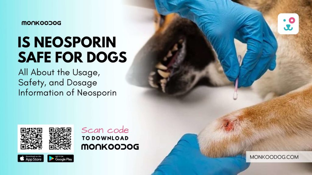 Is It Safe to Use Neosporin for Dogs Here Is All About the Usage, Safety, and Dosage Information of Neosporin