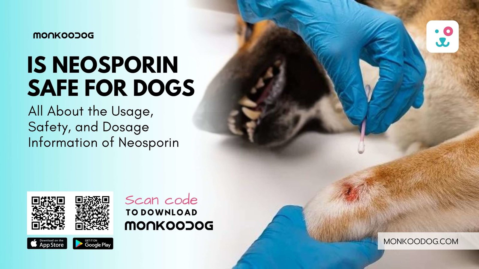 will neosporin hurt my dog