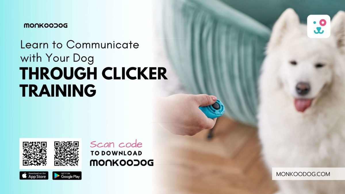 Clicker Training for Dogs: Learn to Communicate with Your Dog