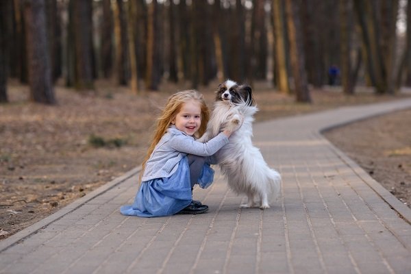 Papillon Dogs Around Kids