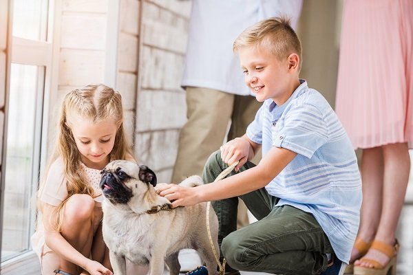 Dog Behavior with Children