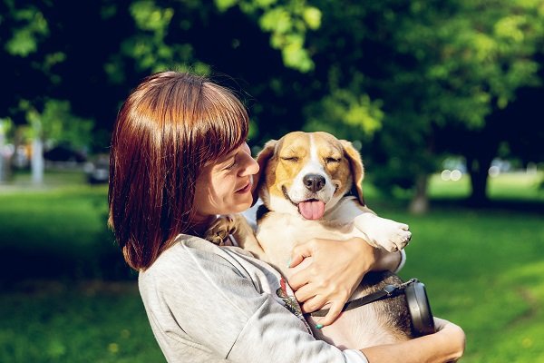 The Best Way to Go Until You Have an Appointment - Dog Limping