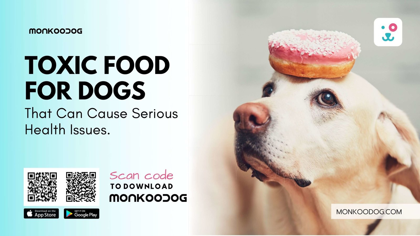 Toxic Food for Dogs- That Can Cause Serious Health Issues.