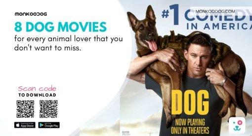 8 Dog Movies For Every Animal Lover