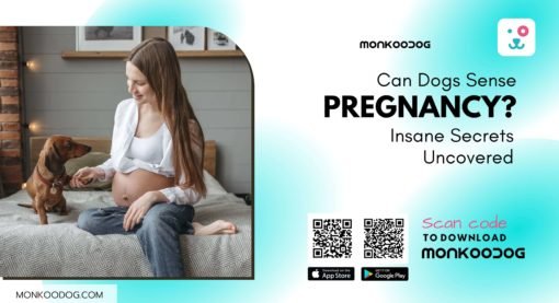 Can Dogs Sense Pregnancy? Insane Secrets Uncovered