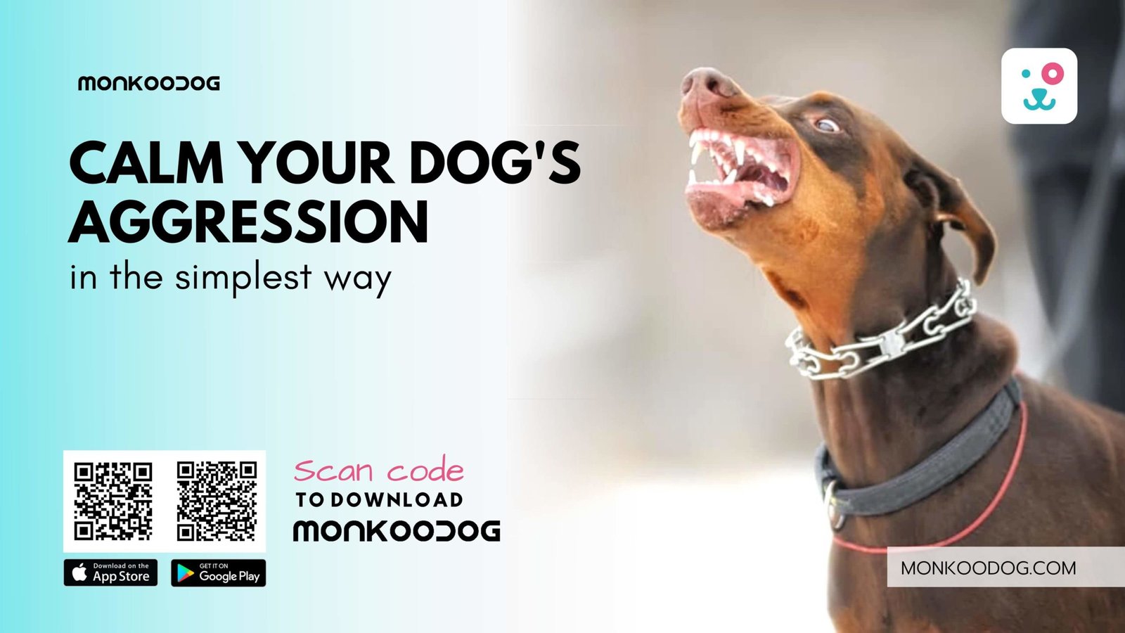 How to Calm Dog Aggression in the Simplest Way