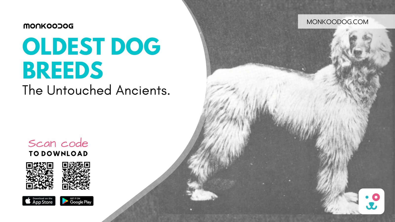 Oldest Dog Breeds The Untouched Ancients.