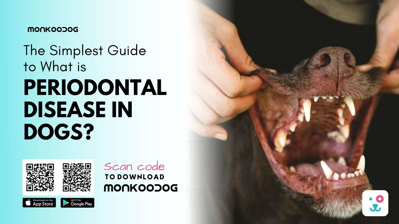 The Simplest Guide to What is Periodontal Disease in Dogs?