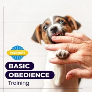 Basic Obedience Training | Pro Package