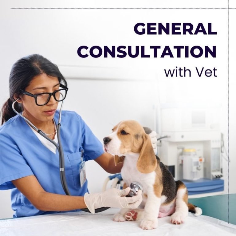 Online Vet Consultation General Consultation Monkoodog