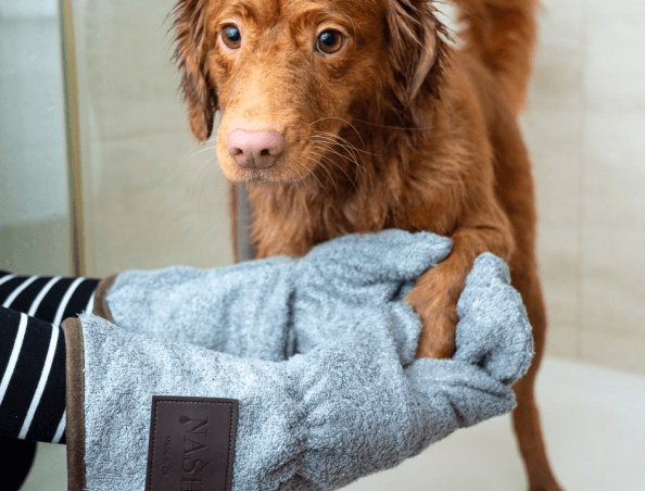 best dog grooming services