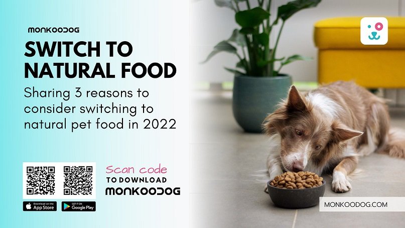 Sharing 3 reasons to consider switching to natural pet food in 2022
