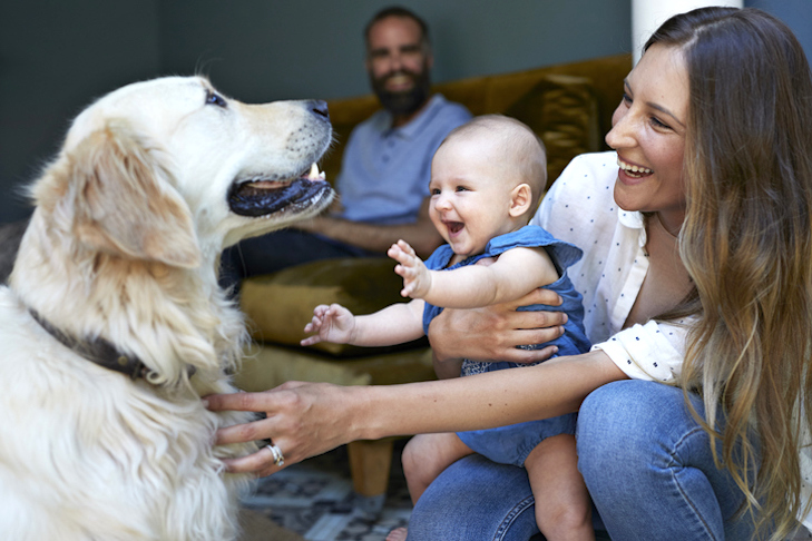 Tip # 4. Introduce your new baby to your dog.