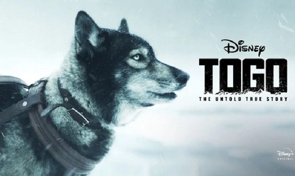 Togo - Dog Movies