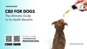 CBD for Dogs The Ultimate Guide to Its Health Benefits