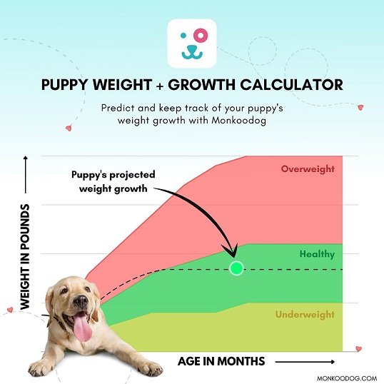 22+ Dog Quality Of Life Calculator - KaleiKatalin