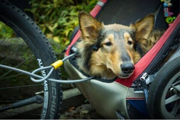 Biking
