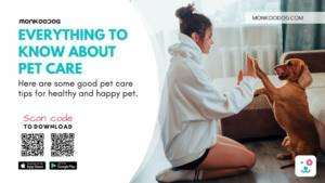 Pet Care The Ultimate Guide to Happy Dogs
