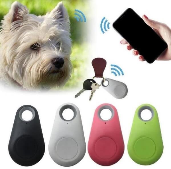 Safety Tip # 8. Keep Your Pet Safe With GPS Tracker - Safeguard Your Dogs