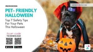 Top 7 tips for halloween