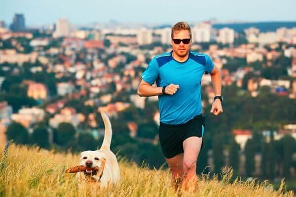 What Are The Benefits Of Jogging With Your Dog?