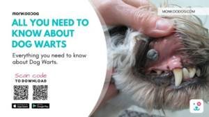 Get to Know About Warts, a Must for Dog Owners.