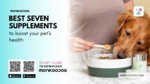 Best seven supplements to boost your pet's health
