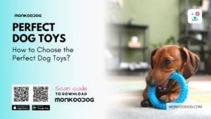 How to Choose the Perfect Dog Toys
