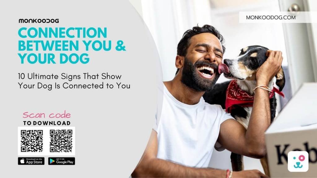 10 Ultimate Signs That Show Your Dog Is Connected to You