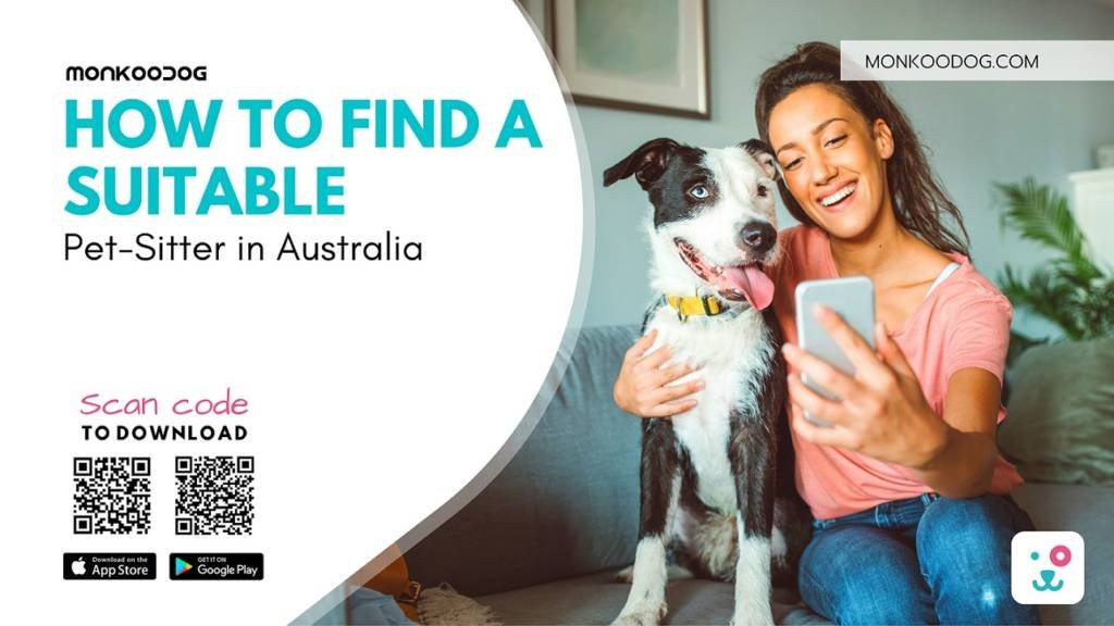 How to find a suitable pet sitter in Australia