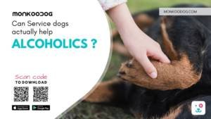 Can Service Dogs For Alcoholics Help