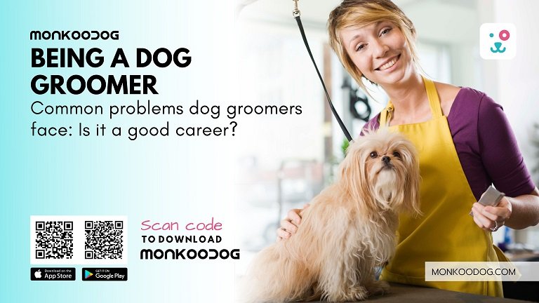 Common Problems Dog Groomers Face Is it a Good Career