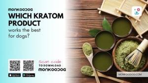 Which Kratom Product works the best for dogs