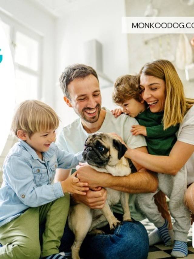 8 Best Family Dog in the World 2023 Monkoodog