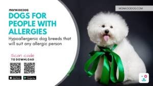5 Hypoallergenic Dog Breeds for People With Dog Allergies 2023