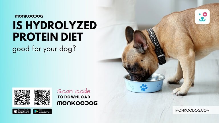 Is Hydrolyzed Protein Diet Good For Dogs